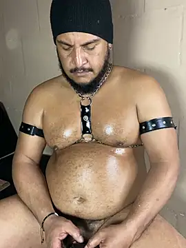 عرض كام the_master_foal_