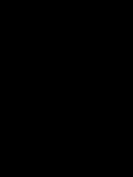 benzomo16 网络视讯表演