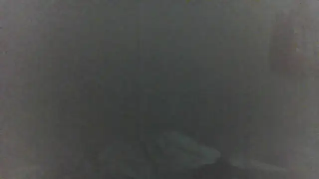 cobrosdepagos' Live XXX Chat