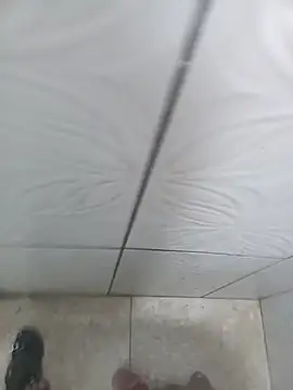 Show webcam de Marcosocomedor