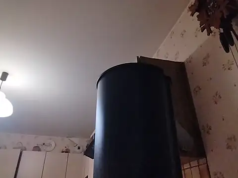 Perv10's Webcam Show