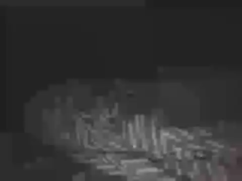 צ'אט XXX בשידור חי של SHARPSkinhead