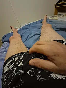 Show webcam de Bretoncool