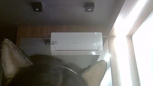 Živý XXX chat SkinnyKitten