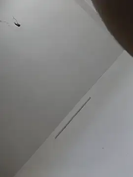 Вебкам-шоу Hairy_hunk32