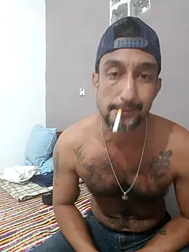 Show de Wedco na webcam