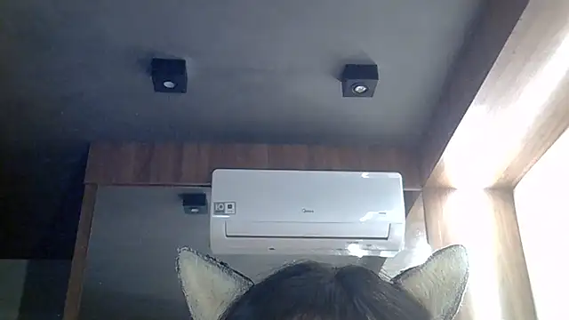 SkinnyKitten's Webcam Show