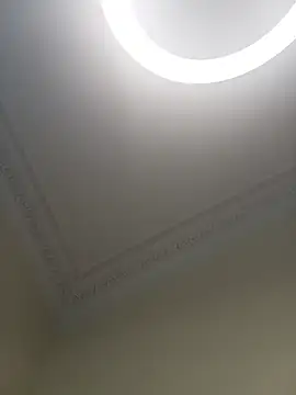 Webkamerová show Sawsansex