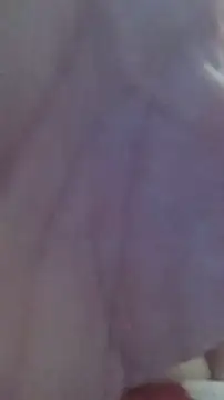 creamycouple69 Webcam show