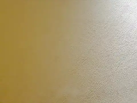 Latinopervs 网络视讯表演