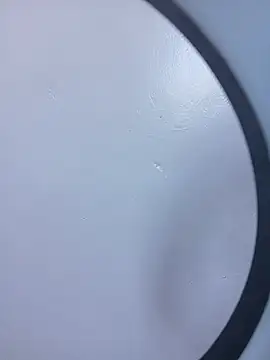 RachealCoco XXX чат на живо