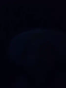 Teasenpleasetyn Webbikameraesitys