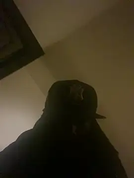 jrnice8tsix's Live XXX Chat