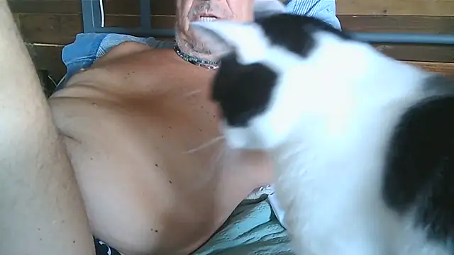 Chatroom XXX en direct de gyodybis
