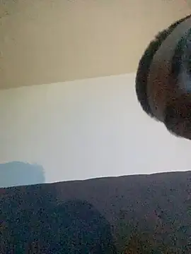 Webkamerová show Taylor_DiamondBoy