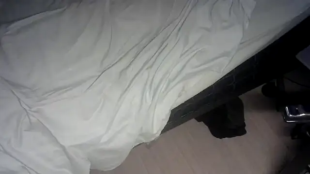 RickDaDickDickerson Live XXX-Chat