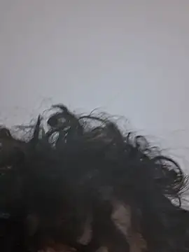 Show de hairylatinoteen na webcam