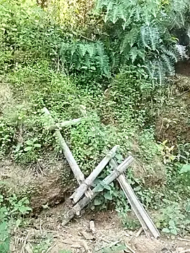 Chat XXX Live Hoa-tuylip
