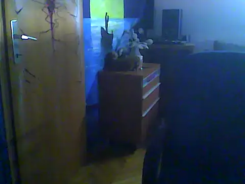 Webkamerová show Dejanaceking