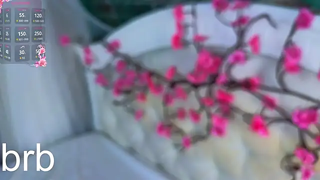 دردشة SallyCha الجنسية المباشرة