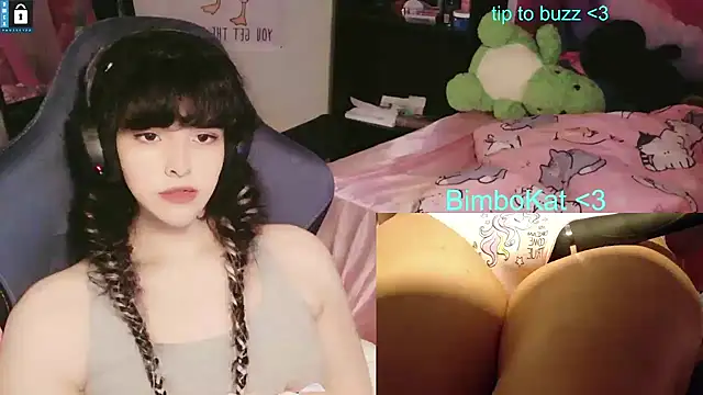 BimboCat élő XXX-chatje