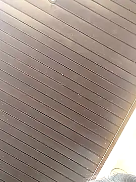 عرض كام Ewa98