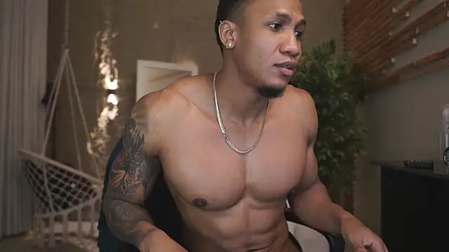 Show webcam de LoganVarela