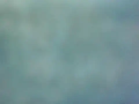 DecoyedMembrne élő XXX-chatje