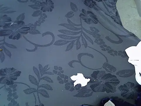 Chat +18 de Avha1523 ao vivo