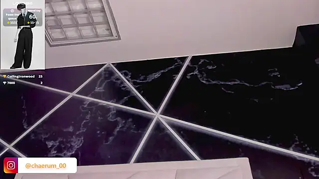 צ'אט XXX בשידור חי של AerumChae
