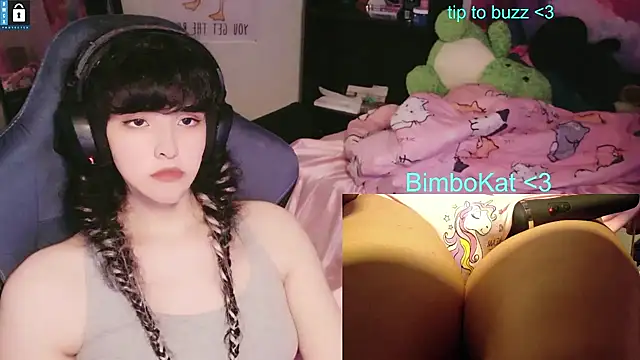 BimboCat webkamerás műsora