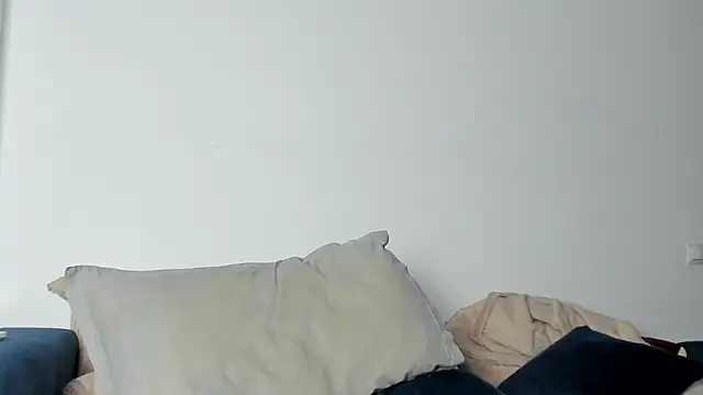 10in_deluxe Webcam show
