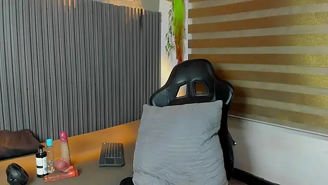 LianFerrer1n Webbikameraesitys