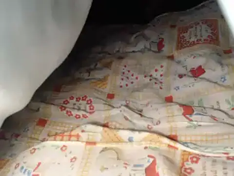 Chat XXX ao vivo de IMAGatMARK