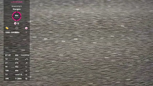 Vassiilisa élő XXX-chatje