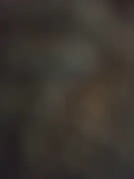 FlacoDani Webcam Show