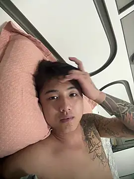 8k6660 Webcamshow