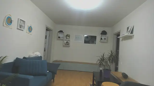 Chat XXX en directo de mel_collins