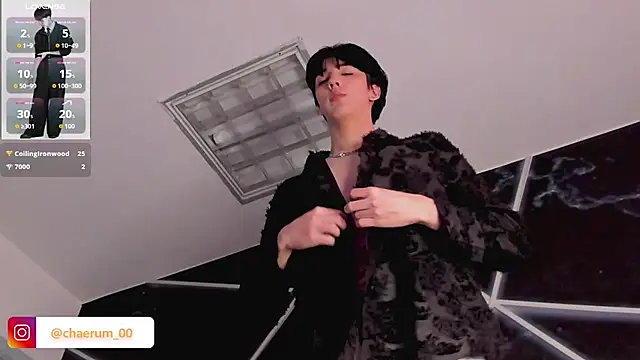 AerumChae Show in webcam