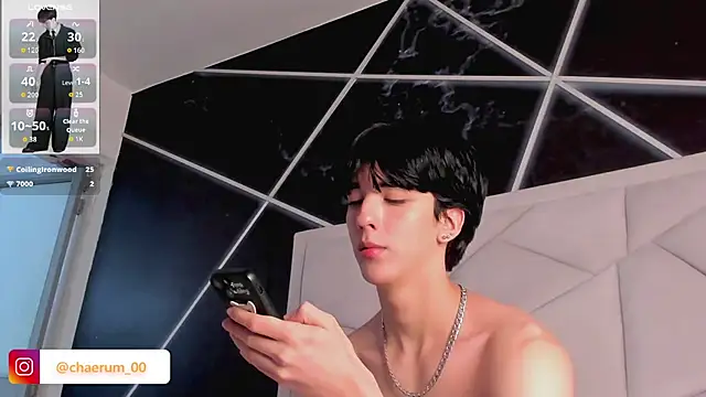 Show webcam de AerumChae