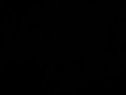 DREshots লাইভ XXX চ্যাট