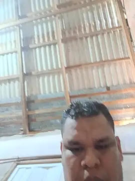 Show Webcam de ursoparaense