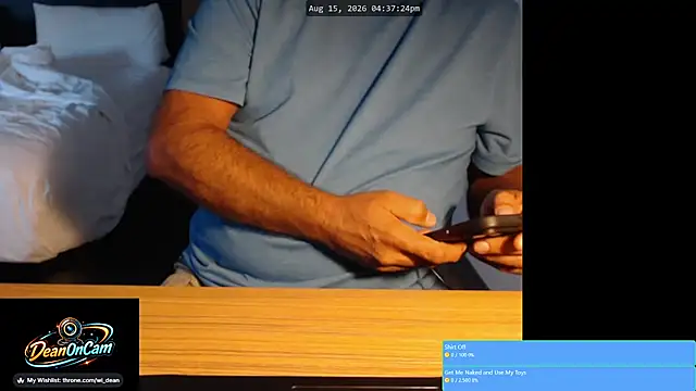DeanonCam 网络视讯表演