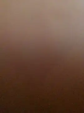 Show webcam de phnXO6996