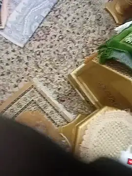 عرض كام misterpanika