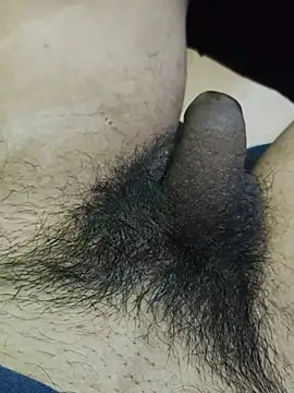 Show de Desicouple2909 na webcam