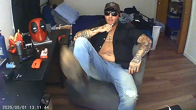 Show webcam de Livingpuddle