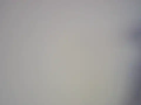 Ponpeo Chat XXX live