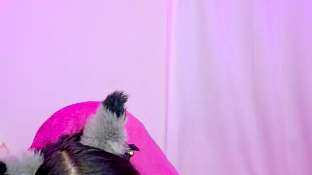 Sachi_Meow Live XXX-chat