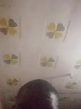 Bigcockbazar – webcam-show